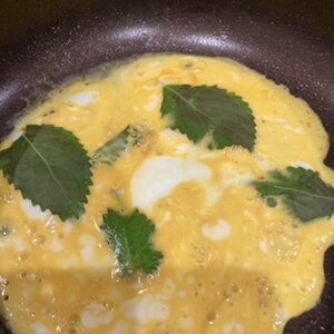 豆苗薄焼き卵